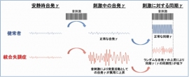 九州大学の研究グループは、統合失調症で知覚や認知機能を司るγ帯域皮質活動が、音刺激によって変化することを明らかにした（写真：九州大学の発表資料より）