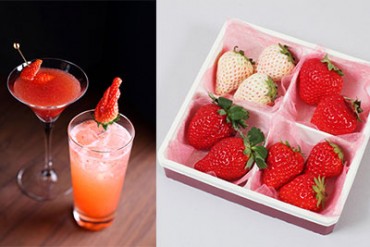 横浜赤レンガ倉庫で「ストロベリーフェスティバル」 - 幻の白イチゴやとちおとめカクテル作り
