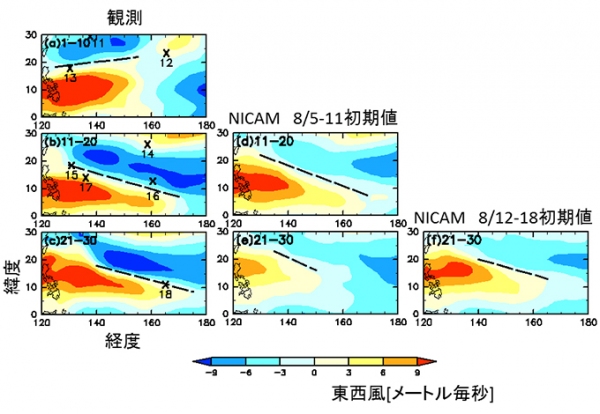 8月1日～10日（上段）、11日～20日（中段）、21日～30日（下段）の高度約1500mにおける東西風(色)と台風発生位置（xマーク、数字は台風番号）。破線はシアーラインの位置を示す。左から観測、8月5-～11日初期値（18号発生約3週間前）、8月12～18日初期値（18号発生約2週間前）の平均（海洋研究開発機構と東京大学の発表資料より）