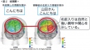 測定時の脳（前頭葉）の反応 (トッパン・フォームズの発表資料より)