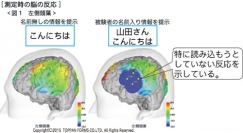 測定時の脳（左側頭葉）の反応 (トッパン・フォームズの発表資料より)