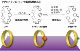 カーボンナノリングの一つであるシクロパラフェニレンの選択的修飾反応を示す図（名古屋大学の発表資料より）