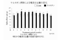 ケルセチン接種による唾液分泌量の変化を示す図（鶴見大学の発表資料より）