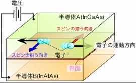 半導体界面でのラシュバ効果を示す図（東北大学の発表資料より）