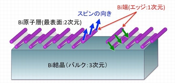 Bi薄膜の構造の模式図。通常の結晶は3次元、最表面は2次元の構造をもち、表面が不連続な場合は境界がエッジになる。エッジでは電子スピンの方向に偏りがあり、その方向はエッジによって異なる（東北大学の発表資料より）