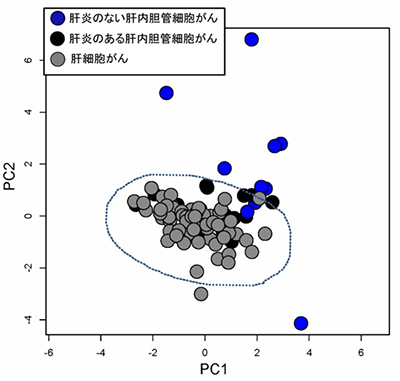 塩基置換パターンに基づく、肝内胆管がんと肝細胞がんのゲノム全体でみた変異パターンの類似状況を示す図（理化学研究所の発表資料より）