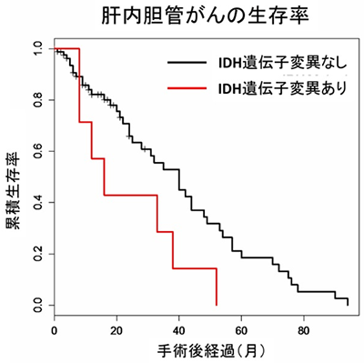 IDH遺伝子の変異の有無と肝内胆管がんの生存率を示す図（理化学研究所の発表資料より）