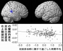 初回参加時における親子で過ごした1日の平均時間と数年後の右上側頭回の灰白質変化の負相関を示す図。※健常な小児は発達の中期以降に灰白質量が減少する（東北大学の発表資料より）