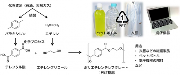 化石資源からPET樹脂を合成する流れを示す図（群馬大学の発表資料より）