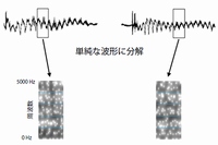 今回の研究で使用された音声認識アルゴリズムの概念図（理化学研究所の発表資料より）