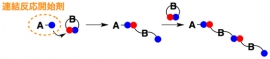 理化学研究所などの研究グループが開発した連結反応開始剤を用いた精密高分子合成の模式図（理化学研究所の発表資料より）