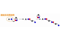 理化学研究所などの研究グループが開発した連結反応開始剤を用いた精密高分子合成の模式図（理化学研究所の発表資料より）