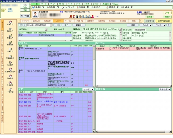 済生会熊本病院とNECが開発した「新型電子クリニカルパス分析ビューワ」の画面例（NECの発表資料より）