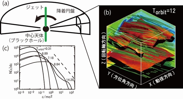 (a)降着円盤と宇宙ジェットの模式図、(b)降着円盤の部分系で行った3次元粒子コードの結果。円盤が12回転して乱流が十分発達した状態。青の線が磁力線、赤のシートで挟まれた領域はガス密度が高い領域。密度が高い領域で磁気リコネクションが活発に起きている。(c)エネルギースペクトルの時間発展。横軸が静止質量で規格化したエネルギー、縦軸が粒子数。時間が経過するにしたがって宇宙線が効率よく生成されている（東京大学の発表資料より）