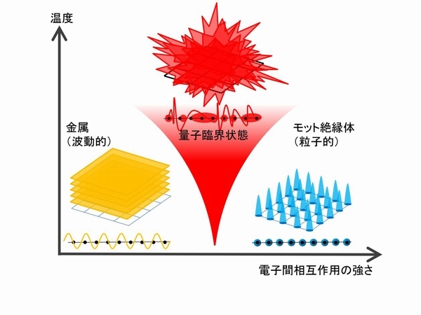 モット転移の量子臨界現象をあらわす概念図（東京大学の発表資料より）