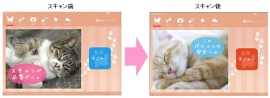 キングソフトは、かわいらしい「猫」の画像がパソコンのセキュリティ状況を知らせるセキュリティソフト「猫セキュリティ」をリリースした。