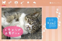 キングソフトは、かわいらしい「猫」の画像がパソコンのセキュリティ状況を知らせるセキュリティソフト「猫セキュリティ」をリリースした。