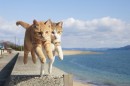 猫がジャンプする瞬間を収めた写真集『飛び猫』が発売された。