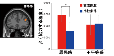 脳活動解析と電流刺激の結果を示す図（情報通信研究機構の発表資料より）