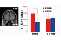 脳活動解析と電流刺激の結果を示す図（情報通信研究機構の発表資料より）