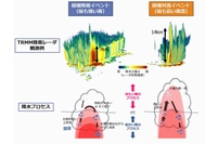 極端降雨イベントと極端対流イベントの概念図（東京大学の発表資料より）