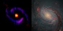 アルマ望遠鏡とハッブル宇宙望遠鏡の撮影結果を並べた画像（Credit: ALMA(ESO/NAOJ/NRAO), S. Takano et al., NASA/ESA Hubble Space Telescope and A. van der Hoeven）