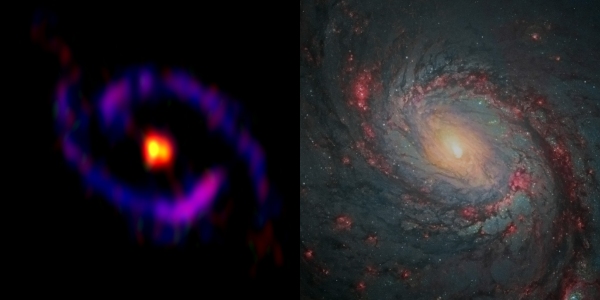 アルマ望遠鏡とハッブル宇宙望遠鏡の撮影結果を並べた画像（Credit: ALMA(ESO/NAOJ/NRAO), S. Takano et al., NASA/ESA Hubble Space Telescope and A. van der Hoeven）