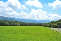 昨年のバター不足はまだ記憶に新しい。その時、知人は生クリームを容器に移してひたすら振ると手作りバターができると教えてくれた。牛のえさ代が上昇し将来に不安を感じた酪農家の廃業が相次いだ為、原料の生乳が不足したのが品薄の原因だった。