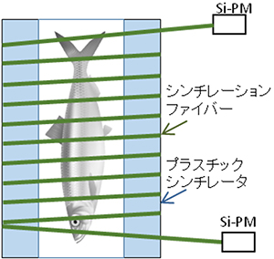 LANFOSのプラスチックシンチレータ（理化学研究所の発表資料より）