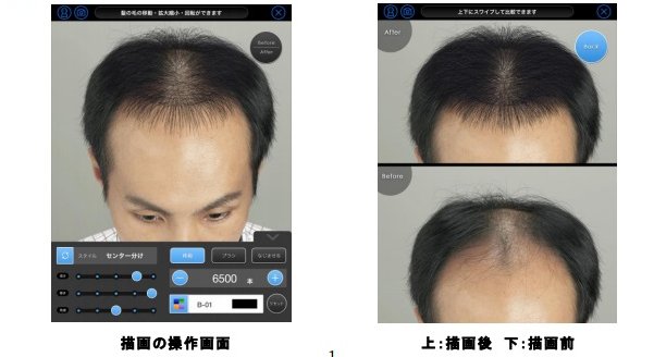 15日からサービス開始の「アデランス ヘアシミュレーション」（同社発表資料から）