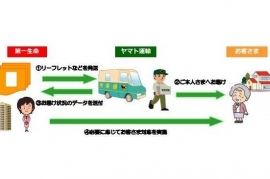 定型の模式図（第一生命発表資料より）