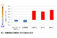 培養細胞の培養液に対する線虫の反応結果を示す図（九州大学の発表資料より）