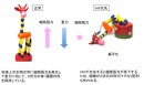 YAP変異（消失）が細胞張力低下によって体・臓器の扁平化を引き起こすイメージ図（東京医科歯科大学の発表資料より）