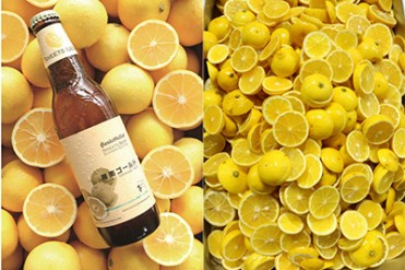 夏季限定！オレンジ風味のフルーツビール「湘南ゴールド」発売 - 皮も実も果実を丸ごと使用