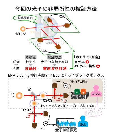 今回行われた光子の非局所性検証の実験概念を示す図（東京大学の発表資料より）