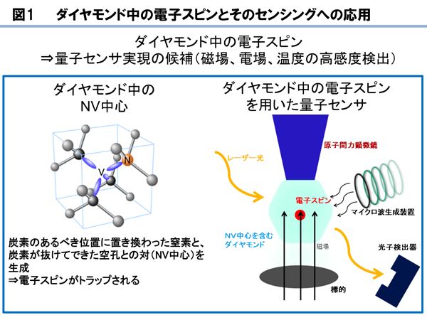 ダイヤモンド中の電子スピンとそのセンシングへの応用のイメージを示す図（NTTなどの発表資料より）