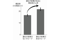 ニコチン受容体に関係する遺伝子CHRNA4のrs1044396という部位のシトシン（C）がチミン（T）に置換しているグループ（47名）では、そうでないグループ（57名）と比べて、3割も瞬目率が上昇していた（写真：大阪大学の発表資料より）