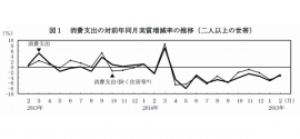 消費支出の対前年同月実質増減率の推移を示す図（総務省「家計調査報告－平成27年(2015年)2月分速報－」より）