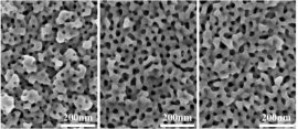 ミセルのサイズを変化させて作製した金ナノ多孔体の電子顕微鏡写真。右に行くほど孔のサイズが大きくなっている（物質・材料研究機構の発表資料より）