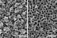 ミセルのサイズを変化させて作製した金ナノ多孔体の電子顕微鏡写真。右に行くほど孔のサイズが大きくなっている（物質・材料研究機構の発表資料より）