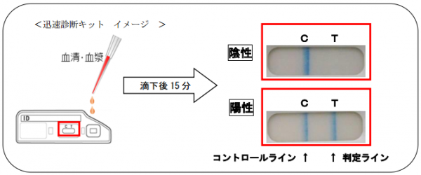 診断キット利用イメージ（写真：電気化学工業発表資料より）