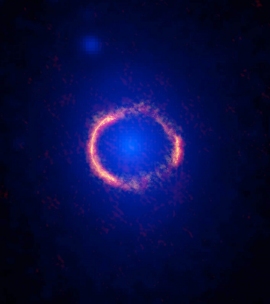 アルマ望遠鏡（オレンジ）とハッブル宇宙望遠鏡（青）で観測したSDP.81。アルマ望遠鏡では重力レンズ効果により引き伸ばされたSDP.81の姿が、完全な円形に見えている。ハッブル宇宙望遠鏡では重力レンズの原因となっている手前の銀河が見えている。また、アルマ望遠鏡の解像度がハッブル宇宙望遠鏡を上回っていることもわかる。Credit: ALMA (ESO/NAOJ/NRAO); B. Saxton NRAO/AUI/NSF; NASA/ESA Hubble Space Telescope 