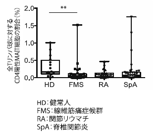 健常人（黒丸）、線維筋痛症候群（四角）、関節リウマチ（三角）、脊椎関節炎（逆三角）の患者の末梢血中に存在するCD4陽性MAIT細胞の存在割合を調べたもの。MAIT細胞はT リンパ球の一種であり、その全体に対する割合を％で示した。線維筋痛症候群では健常人に比してその割合が有為に減少していることがわかる（**で印をつけた部分）。（北海道大学の発表資料より）