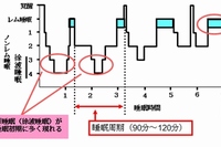 一晩の睡眠パターンを示す図。Stage1-4のノンレム睡眠は脳を休息させる睡眠で眠りの20-25%を占め、特にstage3-4の徐波睡眠は熟眠感が得られる質の高い睡眠といわれている。一方、レム睡眠を睡眠の75-80%を占め、体を休息させる睡眠といわれている。徐波睡眠の役割として、脳の休息以外に交感神経活動の低下とともに副交感神経活動の上昇が見られ、夜間の血圧低下や血糖コントロールの改善が起きるといわれている。（大阪市立大の発表資料より）