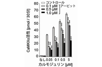 アービットがCaMKIIα活性に与える効果を示す図。今回の研究では、試験管内で精製したアービットと、CaMKIIα、カルモジュリンなどを用いてアービットがCaMKIIαの活性に及ぼす効果を検証した。CaMKIIαの活性化因子であるカルモジュリンの添加量に応じてCaMKIIα活性は上昇するが、どのカルモジュリン濃度においても、アービット添加量に応じてCaMKIIα活性が著しく抑制された（理化学研究所の発表資料より）