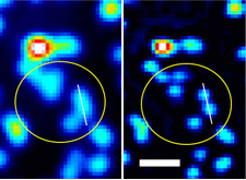 蛍光ビーズを用いた原理の確認実験（オリンパスの発表資料より）