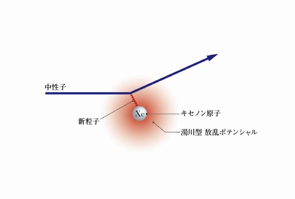 新粒子が作る湯川型散乱ポテンシャルによって、中性子とキセノン原子が散乱する様子の概念図（東京大学の発表資料より）