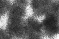 東北大学の浅尾直樹教授・中山幸仁准教授の研究グループが作成に成功した、極めて細いチタン酸ナノワイヤー。無数に絡み合ってマリモのような特徴的な集合体をつくっている（東北大学の発表資料より）