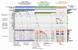 低悪性度神経膠腫の遺伝子異常の全貌を示す図。合計757例の解析結果（京都大学の発表資料より）