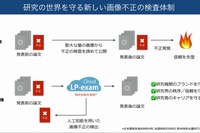 エルピクセルが提供する画像不正の検査体制（エルピクセルの提供資料より）